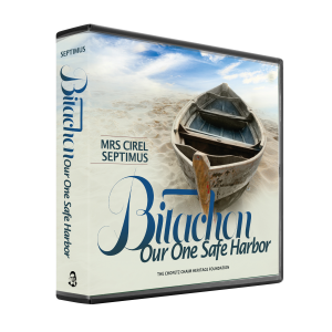 Bitachon our One Safe Harbor