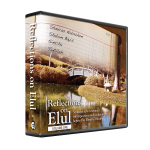 Reflections on elul (power bundle) all volumes